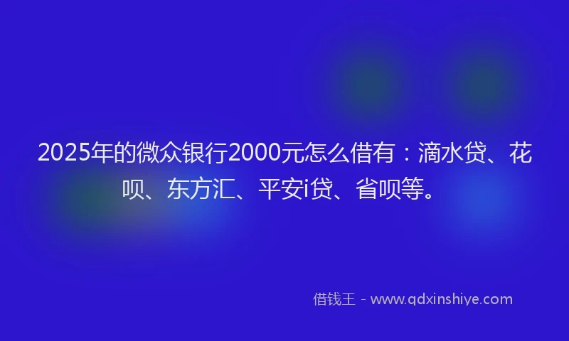 2025年的微众银行2000元怎么借有：滴水贷、花呗、东方汇、平安i贷、省呗等。