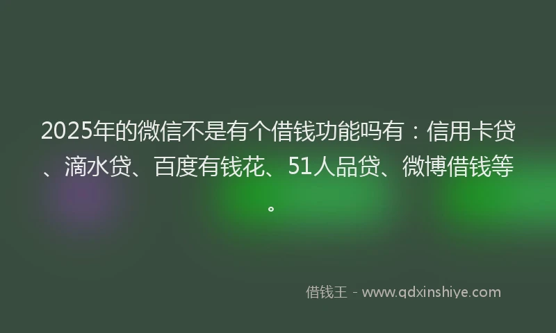 2025年的微信不是有个借钱功能吗有：信用卡贷、滴水贷、百度有钱花、51人品贷、微博借钱等。