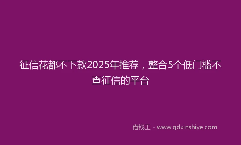 征信花都不下款2025年推荐，整合5个低门槛不查征信的平台