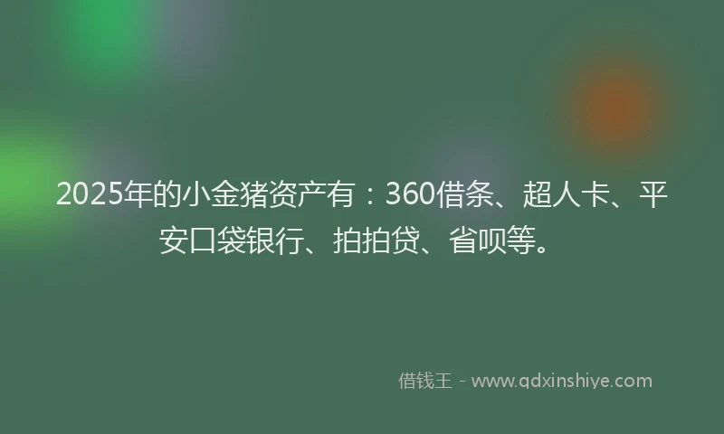 2025年的小金猪资产有：360借条、超人卡、平安口袋银行、拍拍贷、省呗等。
