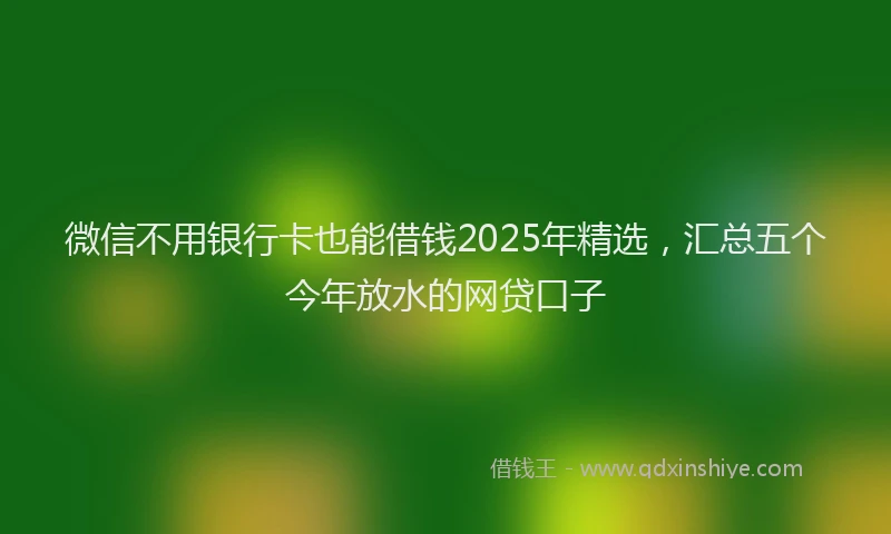 微信不用银行卡也能借钱2025年精选，汇总五个今年放水的网贷口子