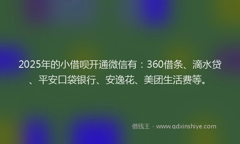 2025年的小借呗开通微信有：360借条、滴水贷、平安口袋银行、安逸花、美团生活费等。
