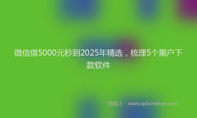 微信借5000元秒到2025年精选，梳理5个黑户下款软件