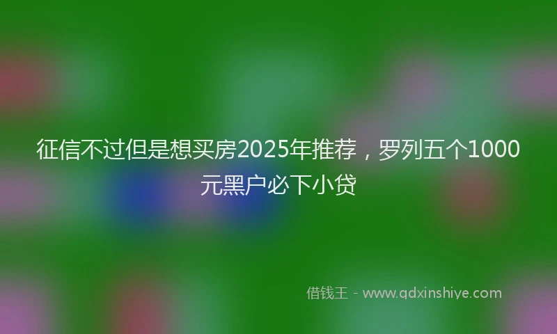 征信不过但是想买房2025年推荐，罗列五个1000元黑户必下小贷