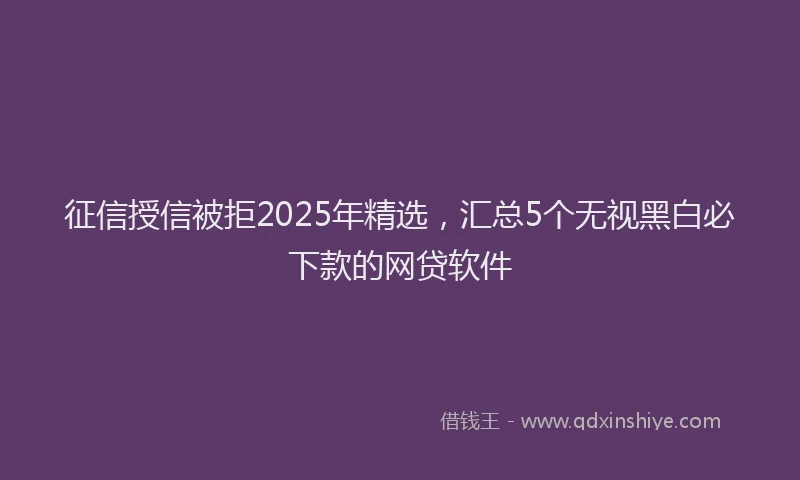 征信授信被拒2025年精选，汇总5个无视黑白必下款的网贷软件