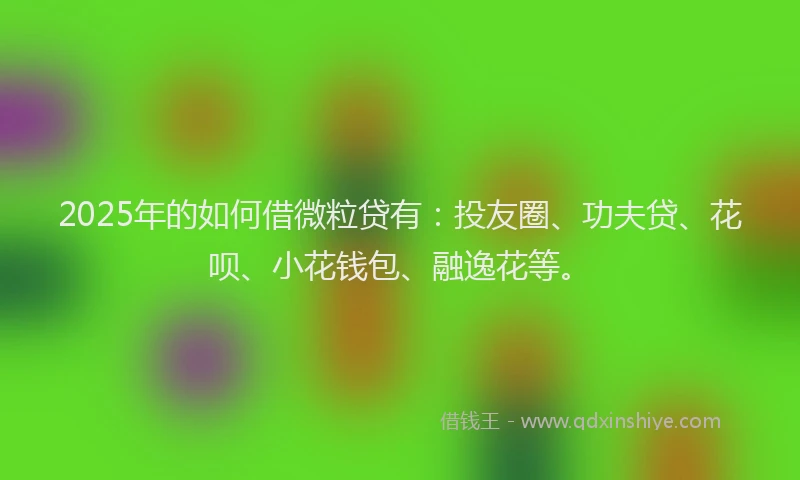 2025年的如何借微粒贷有：投友圈、功夫贷、花呗、小花钱包、融逸花等。