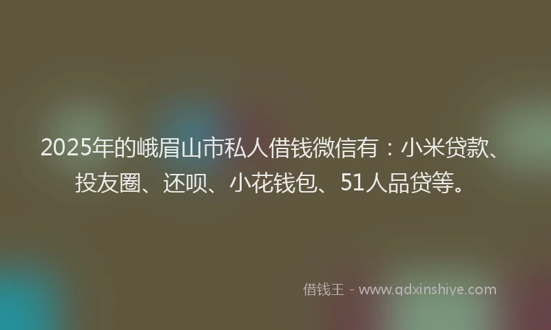 2025年的峨眉山市私人借钱微信有：小米贷款、投友圈、还呗、小花钱包、51人品贷等。