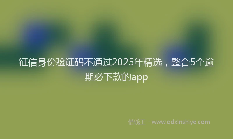 征信身份验证码不通过2025年精选，整合5个逾期必下款的app