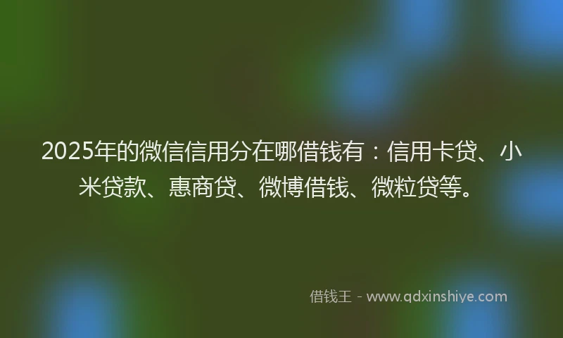 2025年的微信信用分在哪借钱有：信用卡贷、小米贷款、惠商贷、微博借钱、微粒贷等。