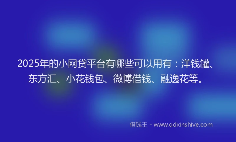 2025年的小网贷平台有哪些可以用有：洋钱罐、东方汇、小花钱包、微博借钱、融逸花等。