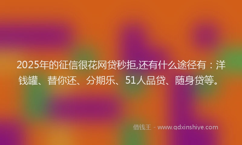 2025年的征信很花网贷秒拒,还有什么途径有：洋钱罐、替你还、分期乐、51人品贷、随身贷等。