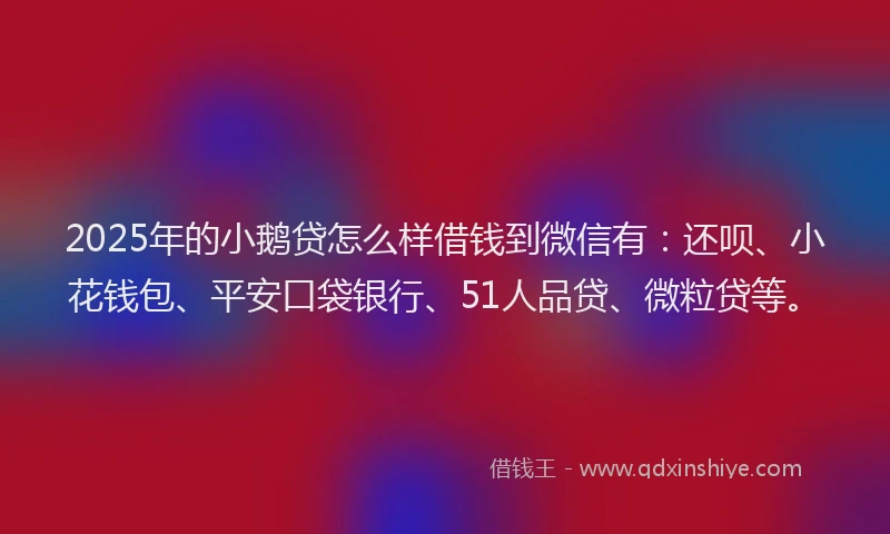 2025年的小鹅贷怎么样借钱到微信有：还呗、小花钱包、平安口袋银行、51人品贷、微粒贷等。