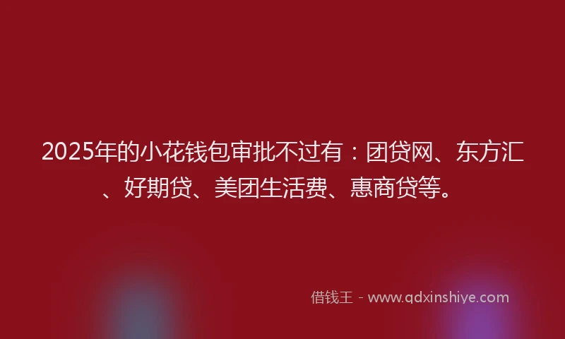 2025年的小花钱包审批不过有：团贷网、东方汇、好期贷、美团生活费、惠商贷等。
