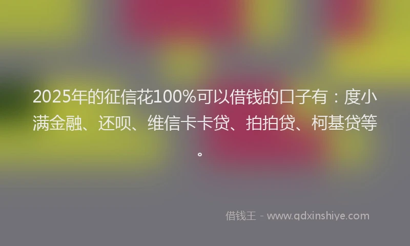 2025年的征信花100%可以借钱的口子有：度小满金融、还呗、维信卡卡贷、拍拍贷、柯基贷等。