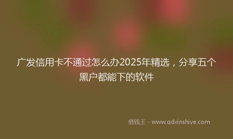 广发信用卡不通过怎么办2025年精选，分享五个黑户都能下的软件