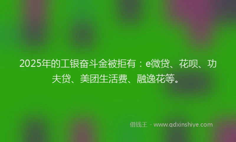 2025年的工银奋斗金被拒有：e微贷、花呗、功夫贷、美团生活费、融逸花等。