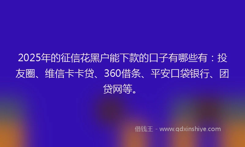 2025年的征信花黑户能下款的口子有哪些有：投友圈、维信卡卡贷、360借条、平安口袋银行、团贷网等。