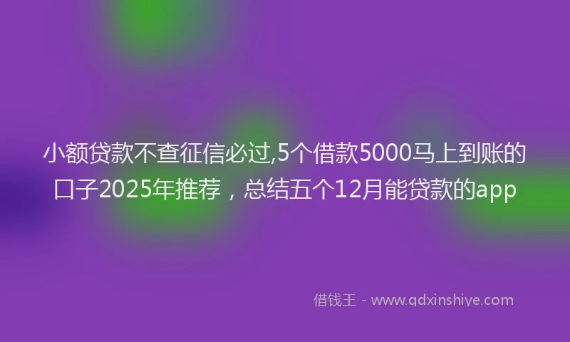 小额贷款不查征信必过,5个借款5000马上到账的口子2025年推荐，总结五个12月能贷款的app