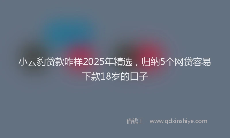 小云豹贷款咋样2025年精选，归纳5个网贷容易下款18岁的口子