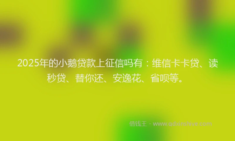 2025年的小鹅贷款上征信吗有：维信卡卡贷、读秒贷、替你还、安逸花、省呗等。
