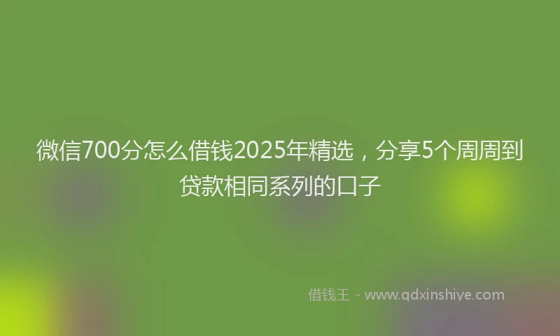 微信700分怎么借钱2025年精选，分享5个周周到贷款相同系列的口子