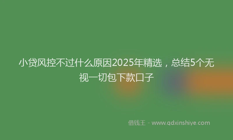 小贷风控不过什么原因2025年精选，总结5个无视一切包下款口子