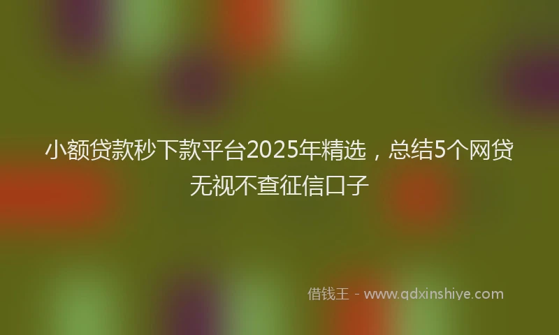 小额贷款秒下款平台2025年精选，总结5个网贷无视不查征信口子