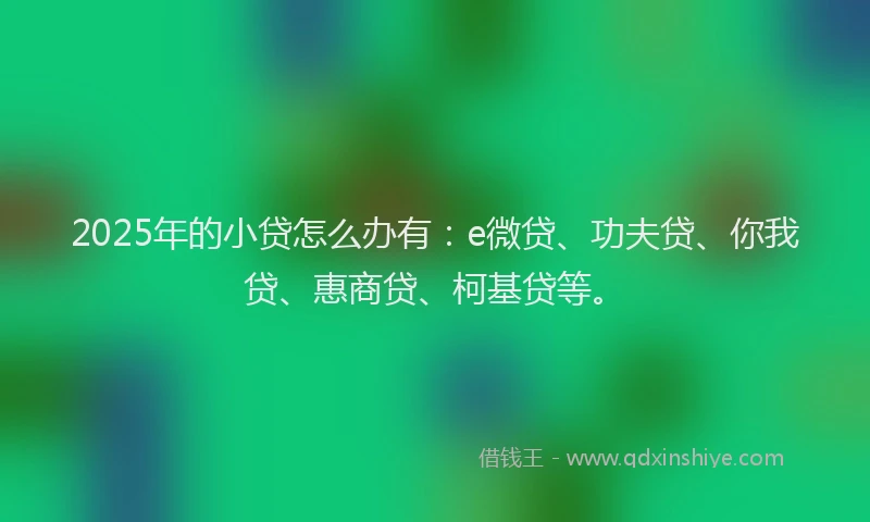 2025年的小贷怎么办有：e微贷、功夫贷、你我贷、惠商贷、柯基贷等。