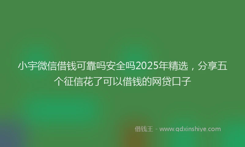 小宇微信借钱可靠吗安全吗2025年精选，分享五个征信花了可以借钱的网贷口子