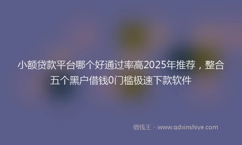 小额贷款平台哪个好通过率高2025年推荐，整合五个黑户借钱0门槛极速下款软件