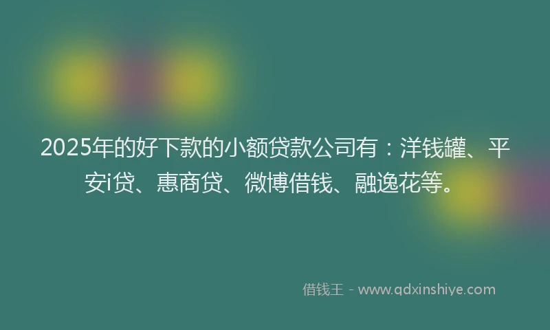2025年的好下款的小额贷款公司有：洋钱罐、平安i贷、惠商贷、微博借钱、融逸花等。
