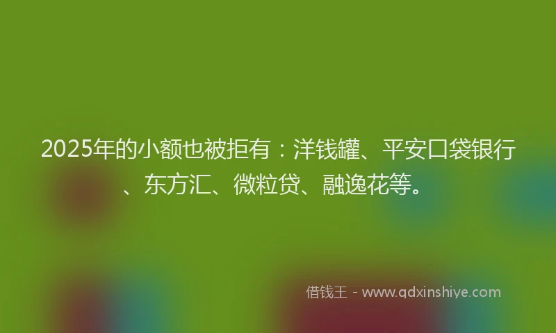 2025年的小额也被拒有：洋钱罐、平安口袋银行、东方汇、微粒贷、融逸花等。