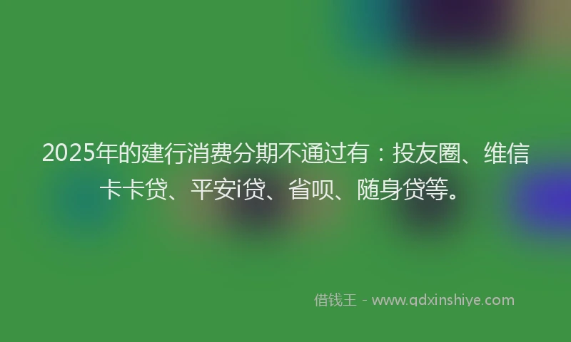 2025年的建行消费分期不通过有：投友圈、维信卡卡贷、平安i贷、省呗、随身贷等。