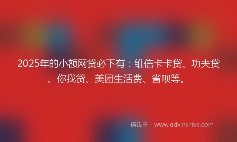 2025年的小额网贷必下有：维信卡卡贷、功夫贷、你我贷、美团生活费、省呗等。