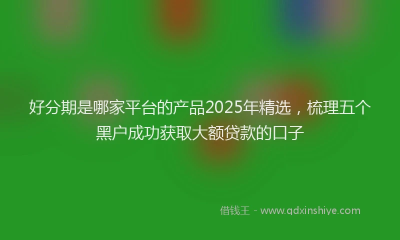 好分期是哪家平台的产品2025年精选，梳理五个黑户成功获取大额贷款的口子