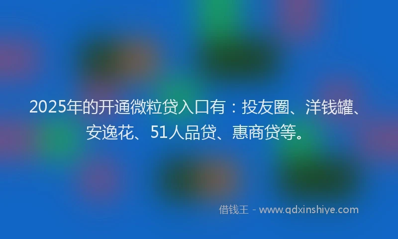 2025年的开通微粒贷入口有：投友圈、洋钱罐、安逸花、51人品贷、惠商贷等。