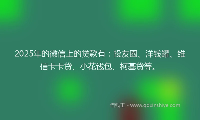 2025年的微信上的贷款有：投友圈、洋钱罐、维信卡卡贷、小花钱包、柯基贷等。