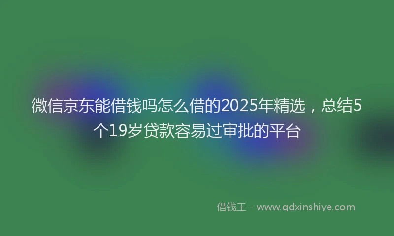 微信京东能借钱吗怎么借的2025年精选，总结5个19岁贷款容易过审批的平台
