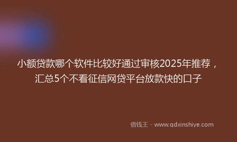小额贷款哪个软件比较好通过审核2025年推荐，汇总5个不看征信网贷平台放款快的口子