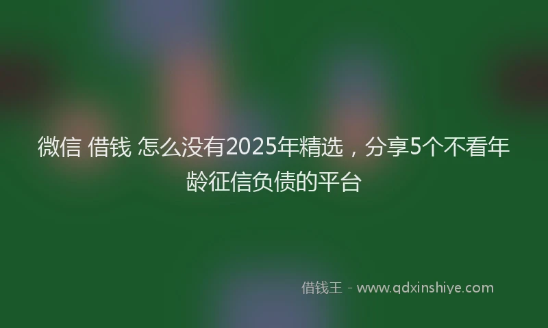 微信 借钱 怎么没有2025年精选，分享5个不看年龄征信负债的平台