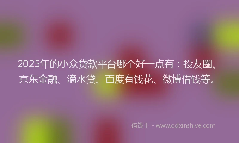 2025年的小众贷款平台哪个好一点有：投友圈、京东金融、滴水贷、百度有钱花、微博借钱等。