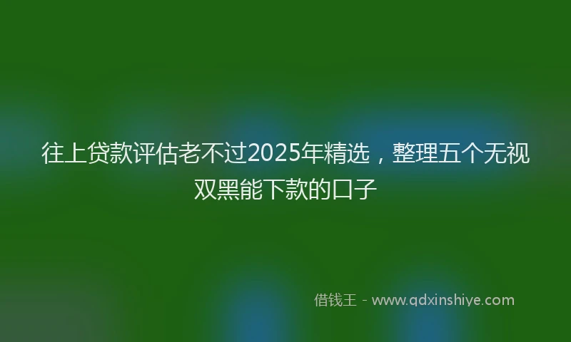 往上贷款评估老不过2025年精选，整理五个无视双黑能下款的口子