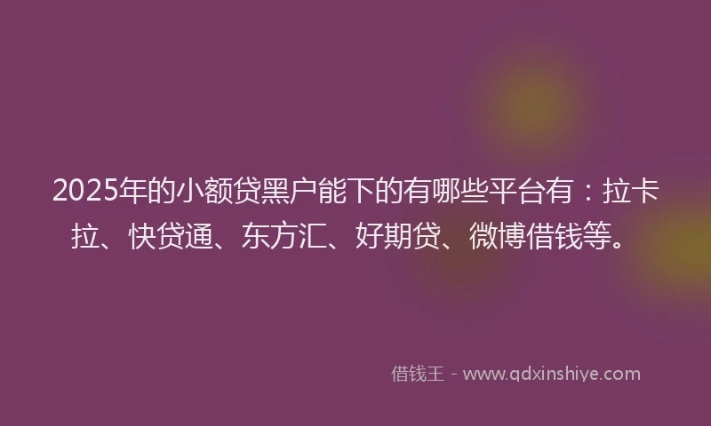 2025年的小额贷黑户能下的有哪些平台有：拉卡拉、快贷通、东方汇、好期贷、微博借钱等。