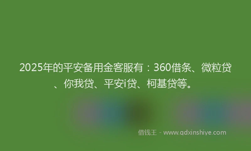 2025年的平安备用金客服有：360借条、微粒贷、你我贷、平安i贷、柯基贷等。