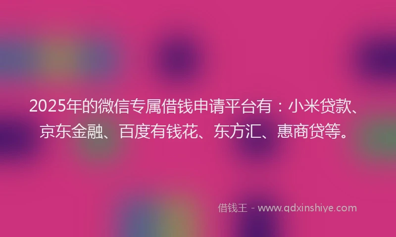 2025年的微信专属借钱申请平台有：小米贷款、京东金融、百度有钱花、东方汇、惠商贷等。