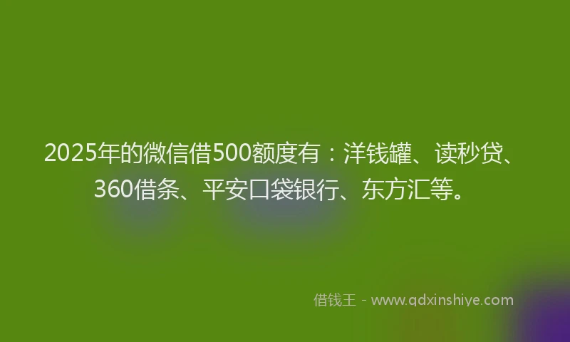 2025年的微信借500额度有：洋钱罐、读秒贷、360借条、平安口袋银行、东方汇等。