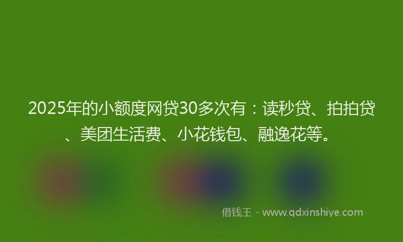 2025年的小额度网贷30多次有：读秒贷、拍拍贷、美团生活费、小花钱包、融逸花等。