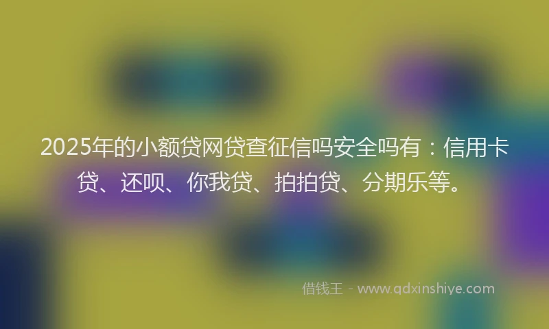 2025年的小额贷网贷查征信吗安全吗有:信用卡贷、还呗、你我贷、拍拍贷、分期乐等。