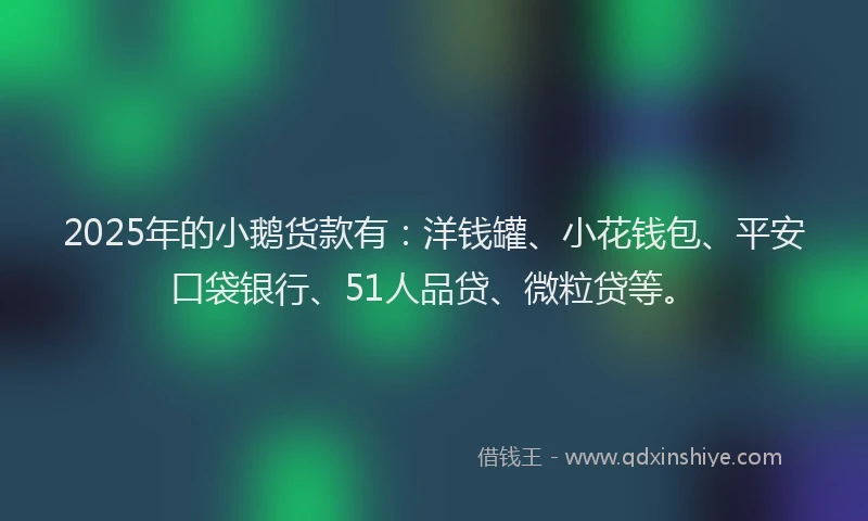 2025年的小鹅货款有：洋钱罐、小花钱包、平安口袋银行、51人品贷、微粒贷等。
