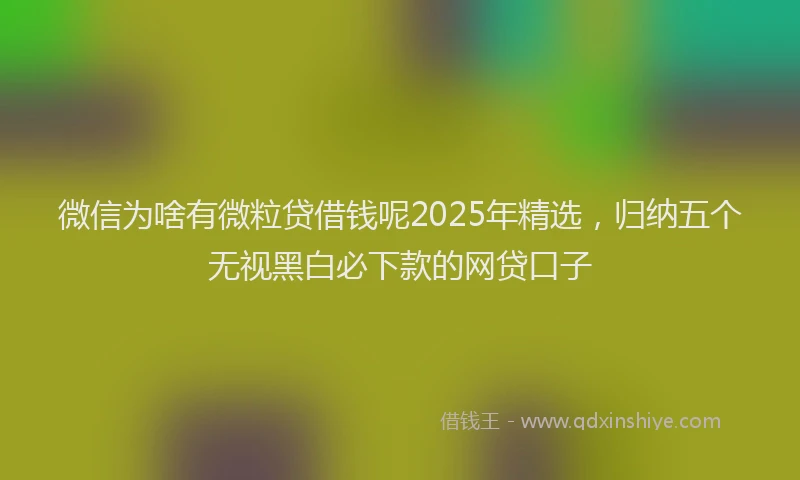 微信为啥有微粒贷借钱呢2025年精选，归纳五个无视黑白必下款的网贷口子